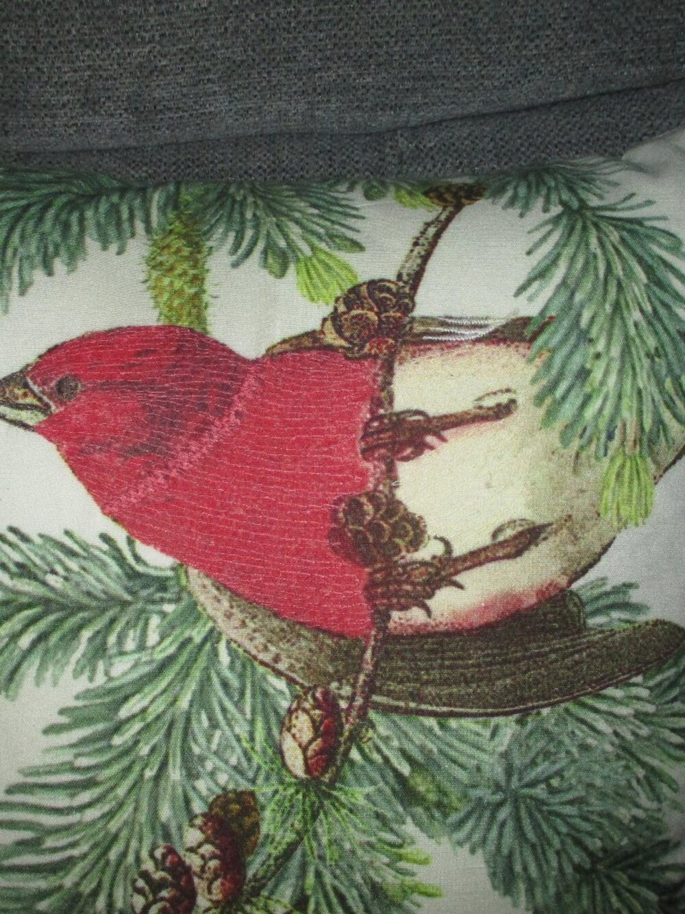 Pottery Barn Audubon Bird Large 20x20 Indoor Pillow with pine branches - Picture 2 of 7